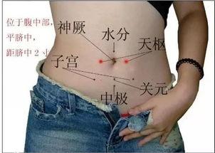 揉肚子的视频,健康生活新体验