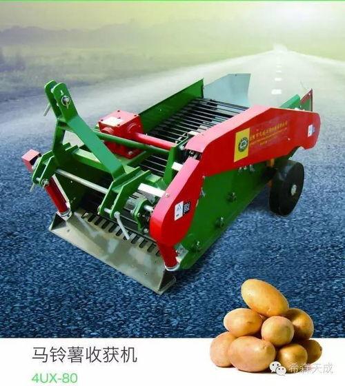 小型马铃薯收获机视频,视频揭秘小型马铃薯收割全过程