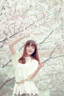 樱头视频,探寻日本樱花之美