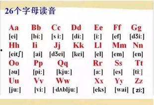 音标发音嘴型视频,轻松掌握标准发音技巧