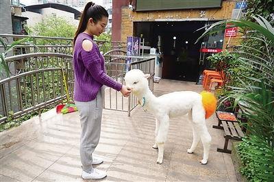 天天射女人视频,一场视觉与心理的冲击之旅