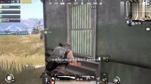 吃鸡完整视频,吃鸡视频精华剪辑